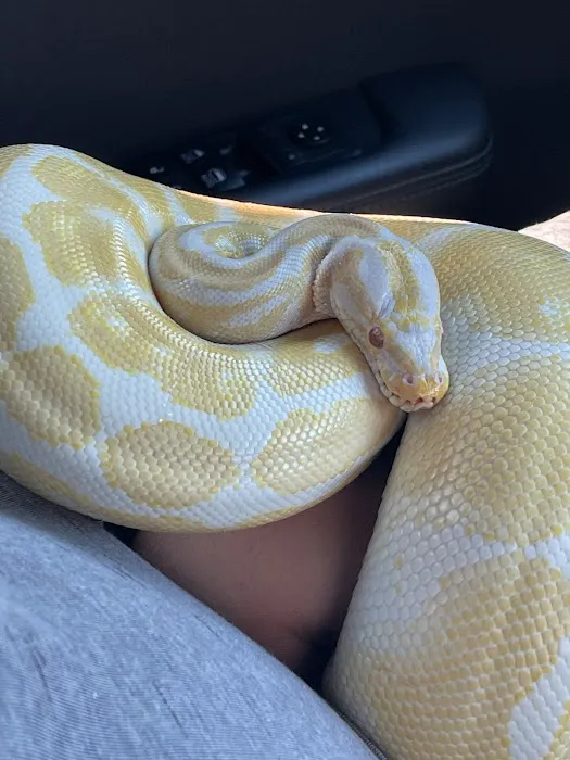 Freddy's Reptiles, LLC Picture 8