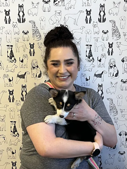 Puppies For Less - Sky Pointe Las Vegas Picture 3