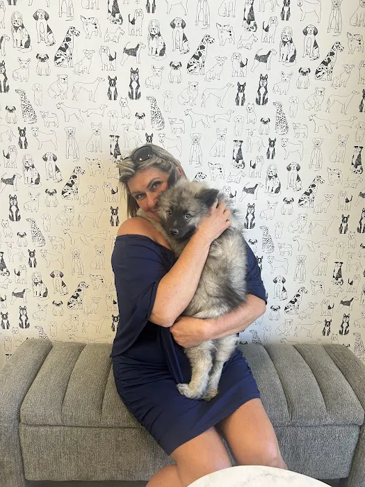 Puppies For Less - Sky Pointe Las Vegas Picture 1