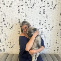 Puppies For Less - Sky Pointe Las Vegas ico