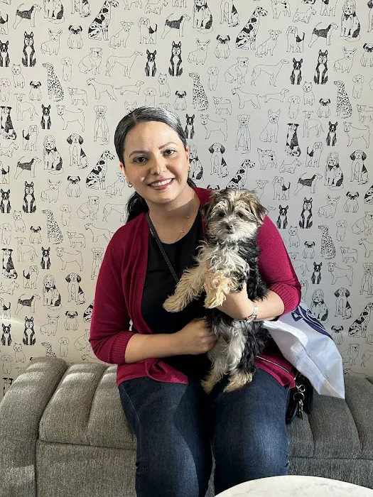 Puppies For Less - Sky Pointe Las Vegas Picture 10