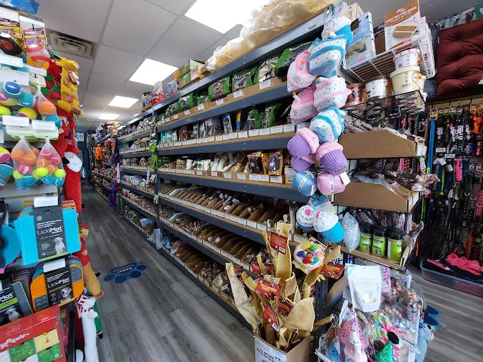 Dog Supplies Outlet Picture 4