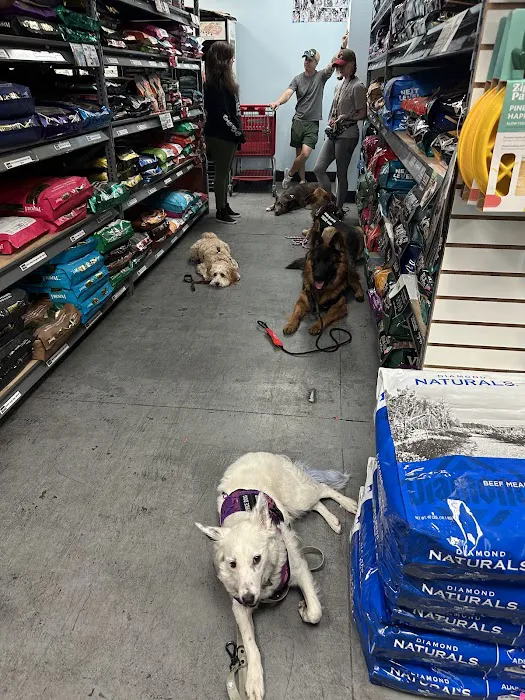 Dog Supplies Outlet Picture 8