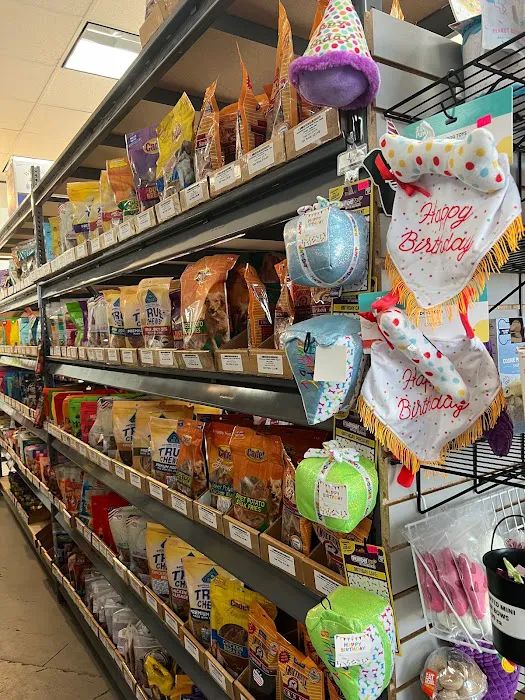 Dog Supplies Outlet Picture 10