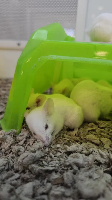 Petco Picture 3