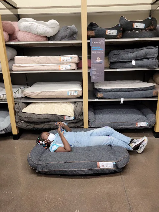 Petco Picture 9