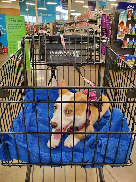Petco Picture 4