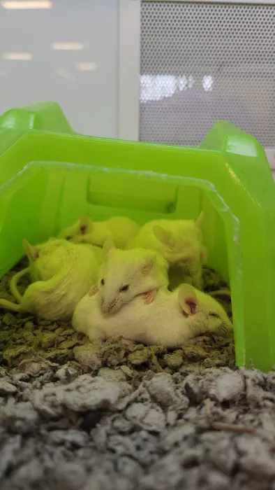 Petco Picture 2