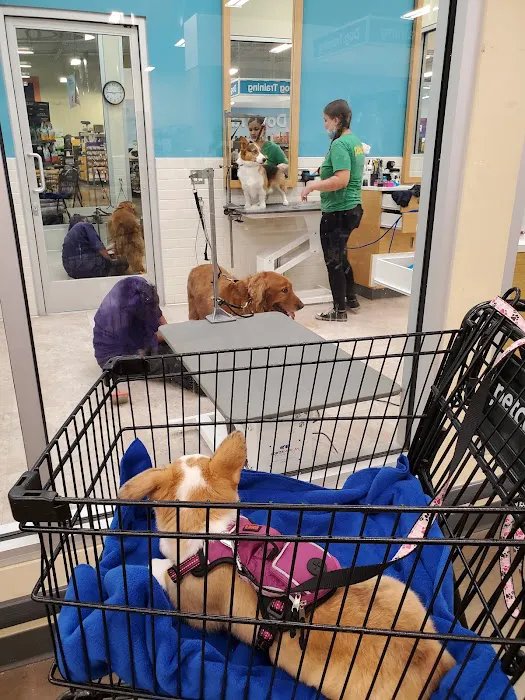 Petco Picture 10