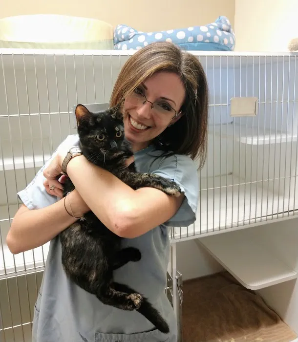 New England Cat Care Picture 3