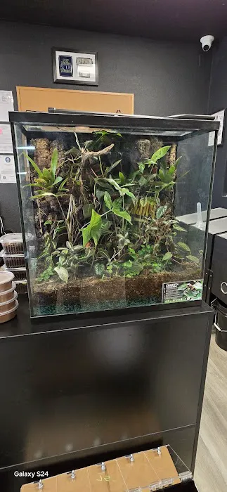 9th Island Reptiles Picture 10