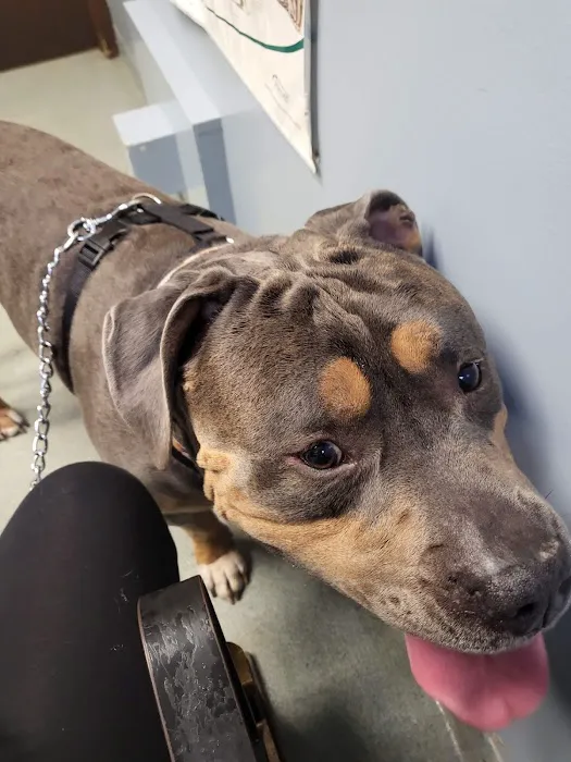 Elm Veterinary Clinic Picture 8