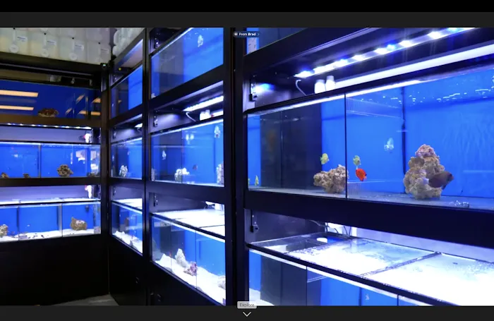 604 Aquatics Picture 8