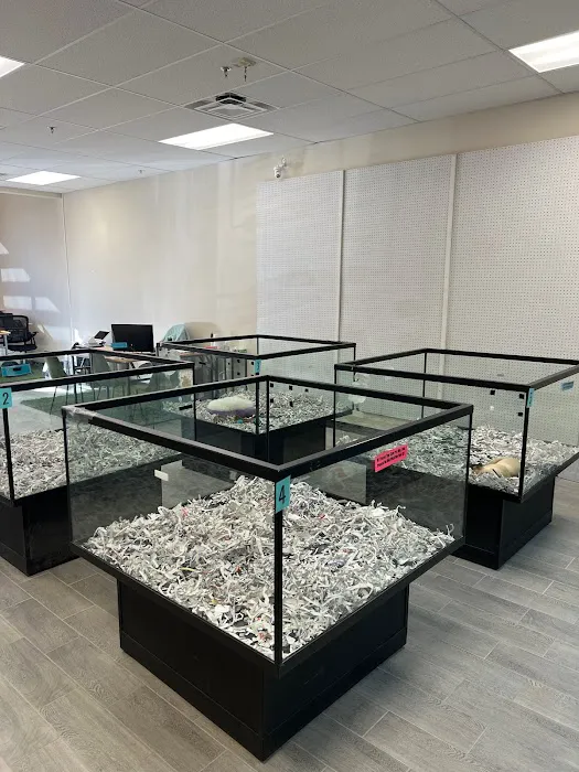 The Puppy Store Las Vegas Picture 6