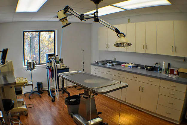 Orange Veterinary Hospital Picture 6