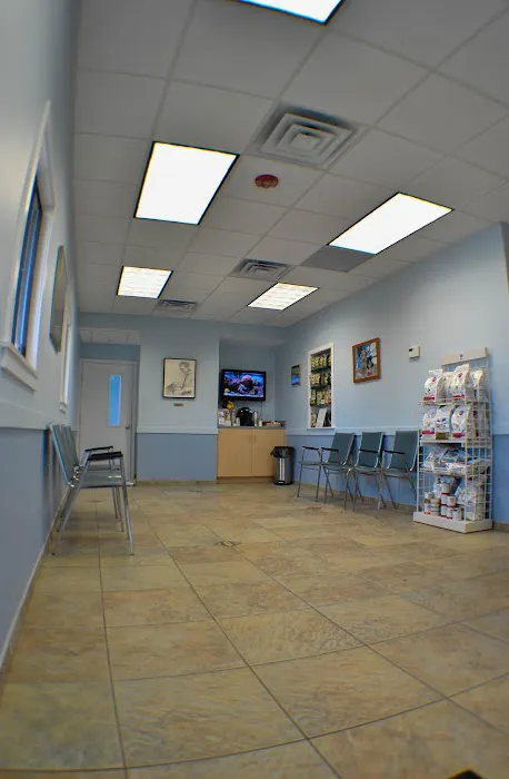 Orange Veterinary Hospital Picture 7