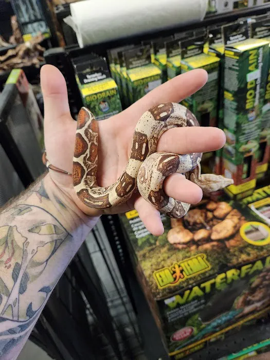 Pet Planet LLC Picture 1