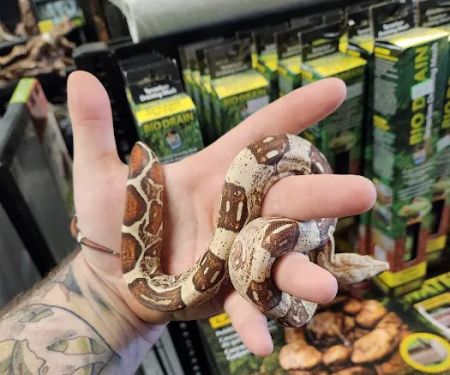 Pet Planet LLC