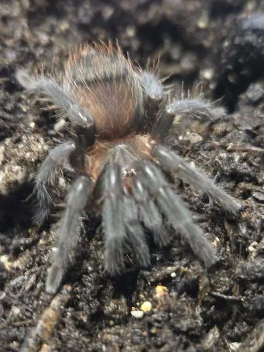 Pet Planet LLC Picture 8