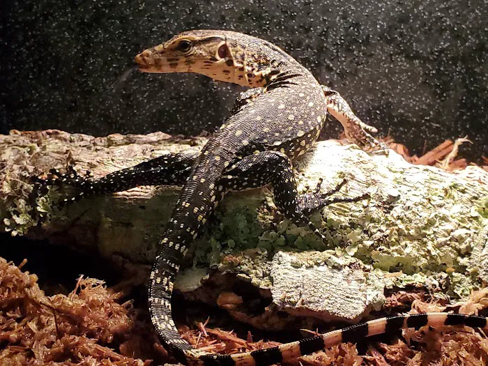 Pet Planet LLC Picture 7