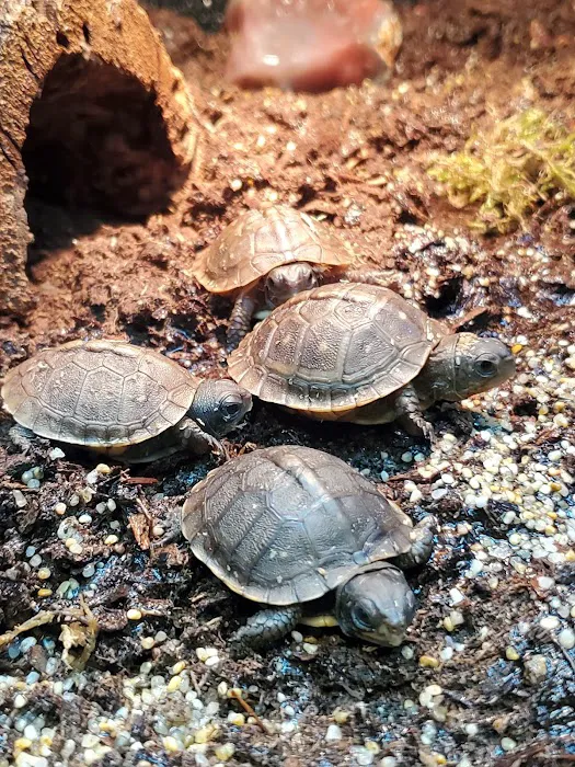 Pet Planet LLC Picture 10
