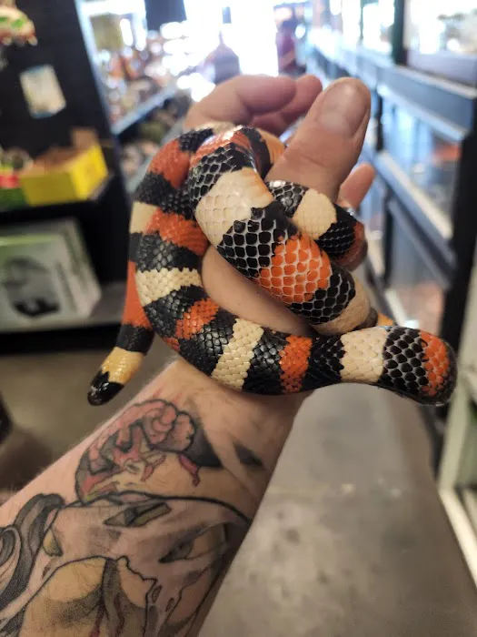 Pet Planet LLC Picture 5