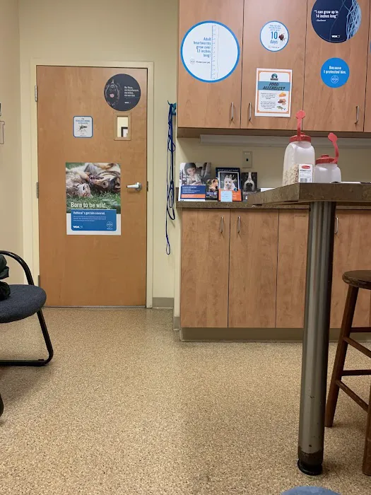 VCA Baybrook Animal Hospital Picture 8