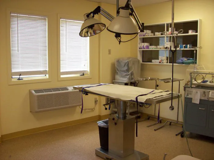 VCA Baybrook Animal Hospital Picture 9