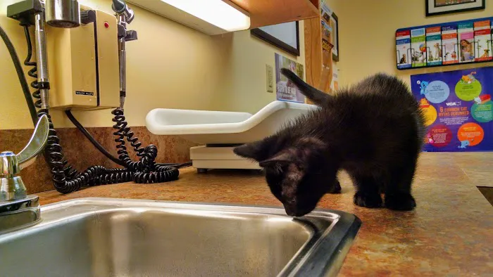 VCA Baybrook Animal Hospital Picture 5