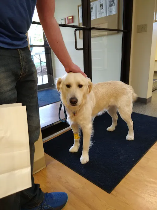 VCA Baybrook Animal Hospital Picture 10