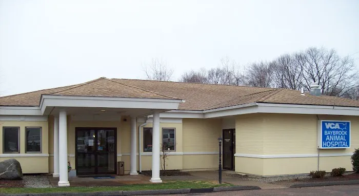 VCA Baybrook Animal Hospital Picture 1
