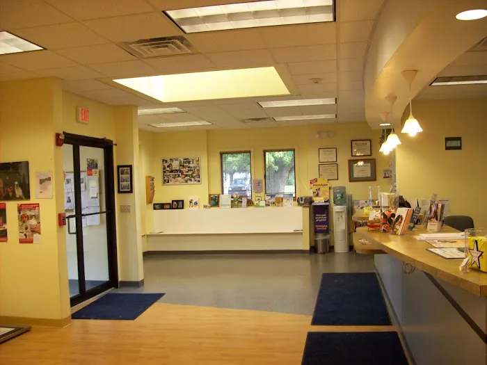 VCA Baybrook Animal Hospital Picture 2