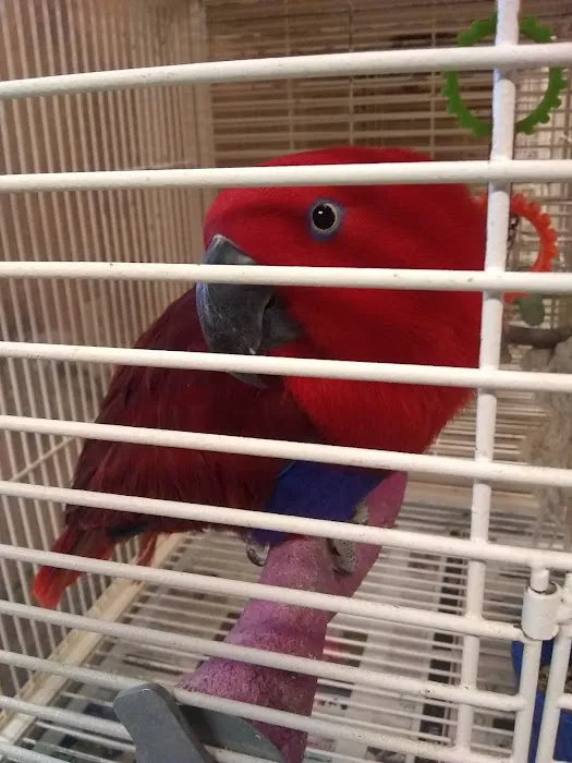 E & J Pets Picture 1