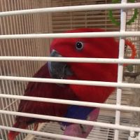 E & J Pets ico