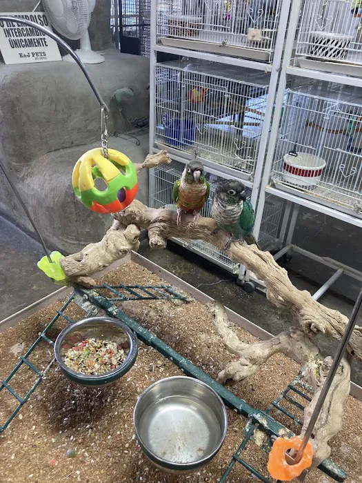 E & J Pets Picture 6
