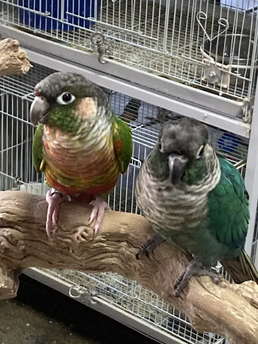 E & J Pets Picture 7
