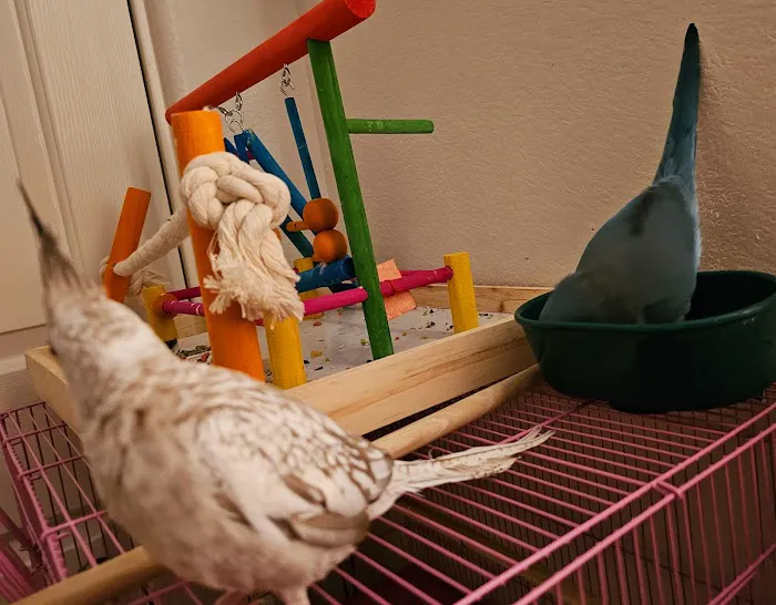 E & J Pets Picture 10