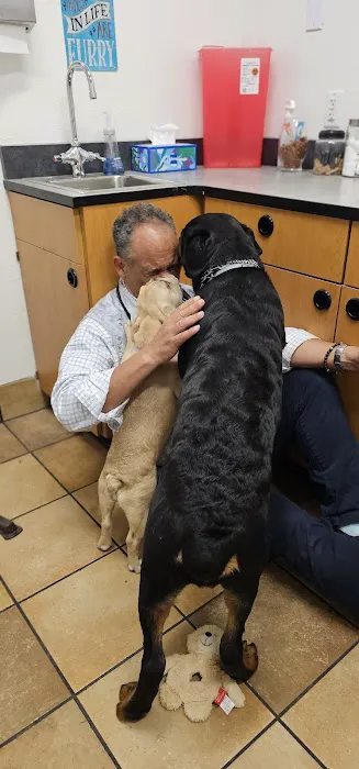 PetSmart Veterinary Services - Stamford Picture 7