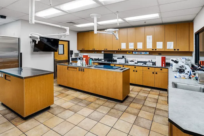 PetSmart Veterinary Services - Stamford Picture 3