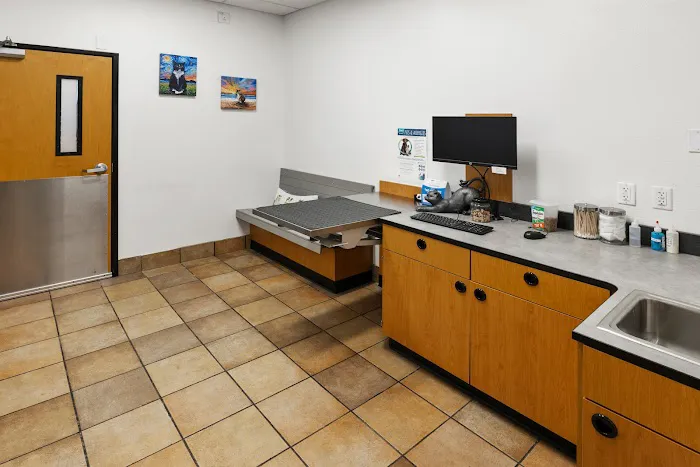 PetSmart Veterinary Services - Stamford Picture 1