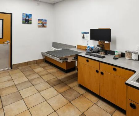 PetSmart Veterinary Services - Stamford