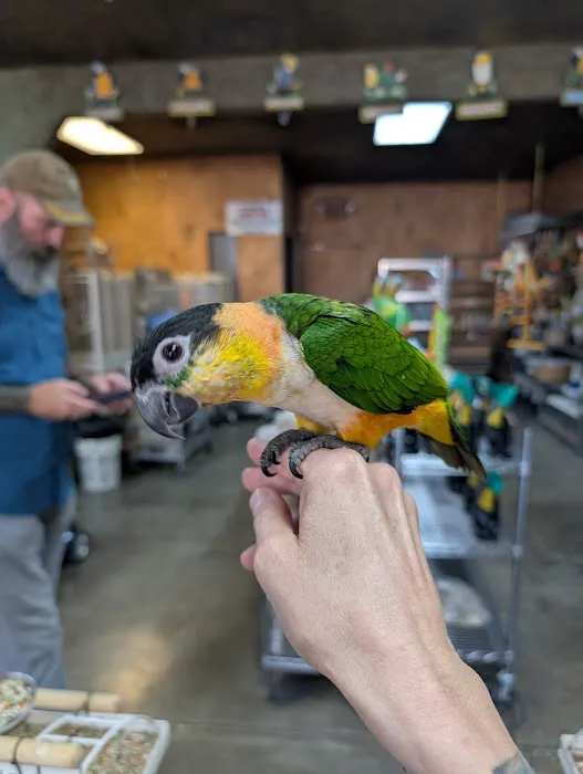 Exotic Birds Picture 1
