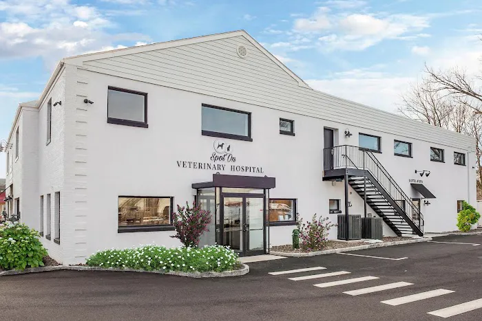 Spot On Veterinary Hospital & Hotel - Stamford Picture 1