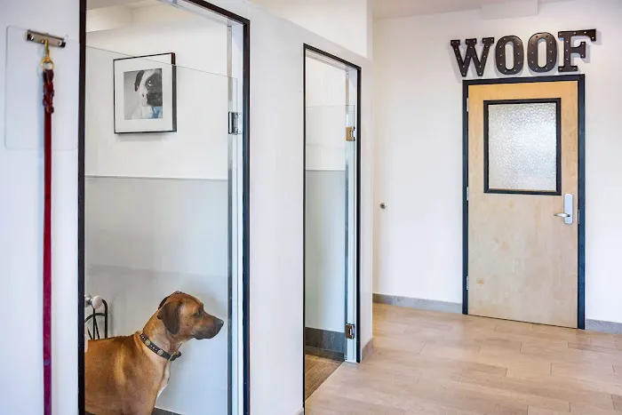 Spot On Veterinary Hospital & Hotel - Stamford Picture 4
