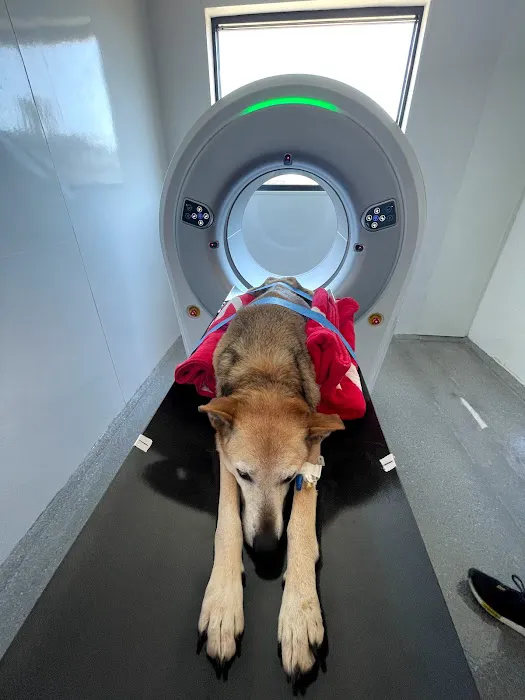 Spot On Veterinary Hospital & Hotel - Stamford Picture 8