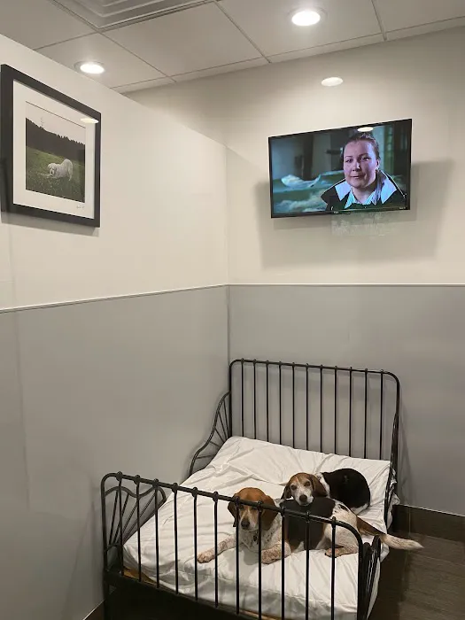 Spot On Veterinary Hospital & Hotel - Stamford Picture 7