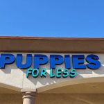 Puppies For Less - W Cheyenne Las Vegas