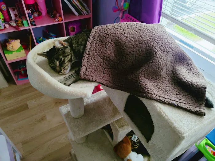Thornwood Animal Hospital Picture 6