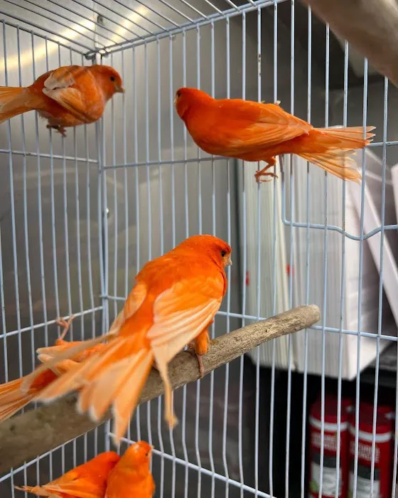 The Bird Spot Picture 7