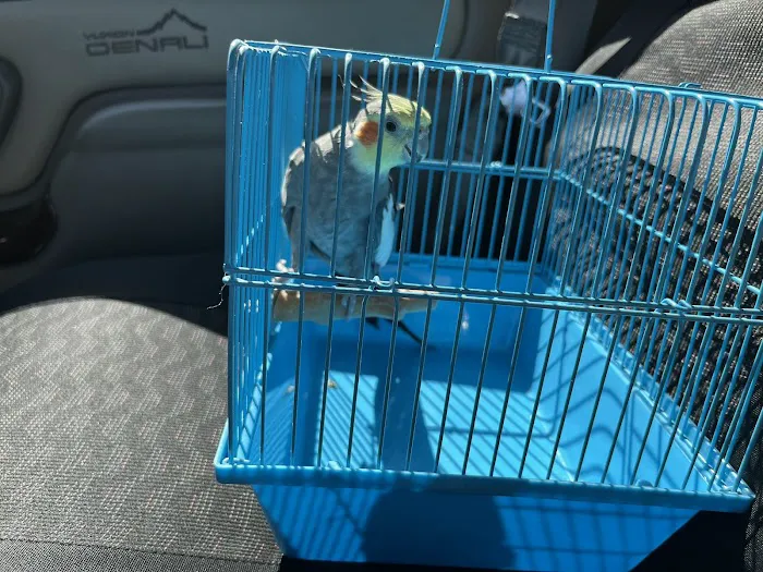 The Bird Spot Picture 6